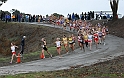 2010NCSXC GD3-573